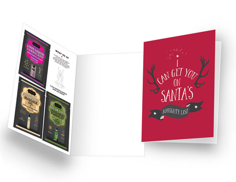 Naughty Notes Pre-Pack Holiday - 12 Naughty Note Cards